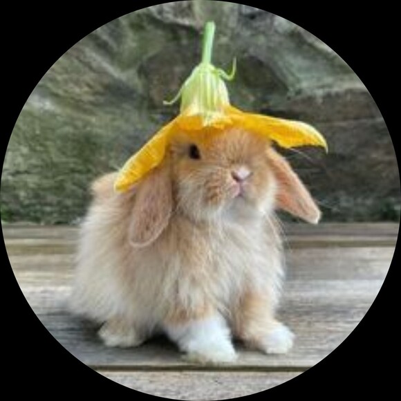 glamorousbunny